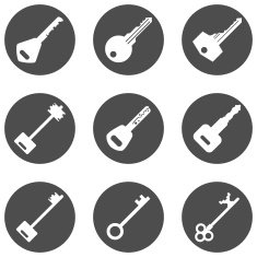 Vector Set of Keys Icons N7