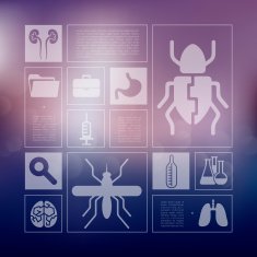 veterinary infographic with unfocused background N16