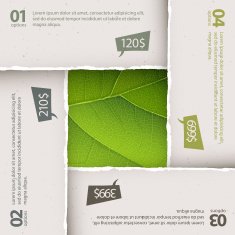 Green leaf texture under torn paper plates Options composition