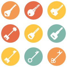 Vector Set of Keys Icons N10
