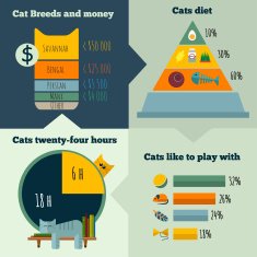 Vector flat cats life infographic