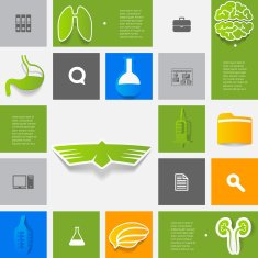 Veterinary sticker infographic N69