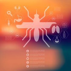 veterinary infographic with unfocused background N20