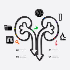 medicine infographic N38