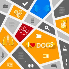 Veterinary sticker infographic N78
