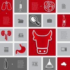 Veterinary sticker infographic N83