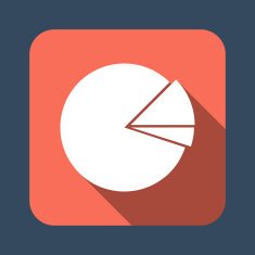 graph pie with two parts vector icon N2