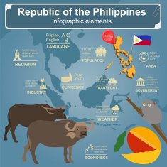 Philippines infographics statistical data sights N2