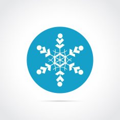 Snowflake flat icon N4