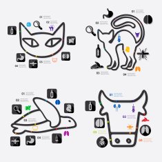 veterinary infographic N3