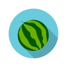 Flat Design Concept Watermelon Vector Illustration With Long Sha