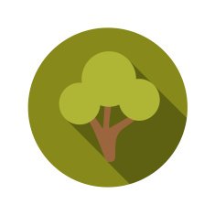 Flat Design Concept Green Tree Vector Illustration With Long Sha