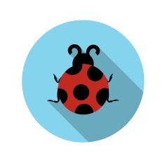 Flat Design Concept Ladybug Vector Illustration With Long Shadow