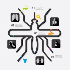 veterinary infographic N5