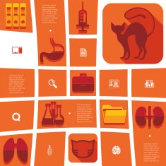 veterinary flat infographic N15