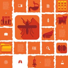 veterinary flat infographic N18