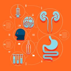 Medical flat infographic N11