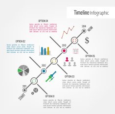 Timeline Infographic N39