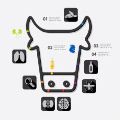 veterinary infographic N8