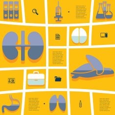 veterinary flat infographic N25