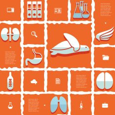 veterinary flat infographic N27