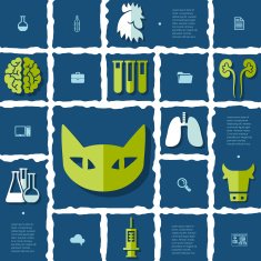 veterinary flat infographic N31