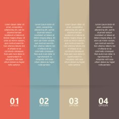 four options N11