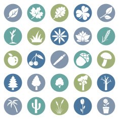 Vector Set of Plants Icons N2