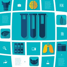 veterinary flat infographic N32