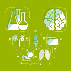 Medical flat infographic N24