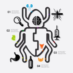 veterinary infographic N15