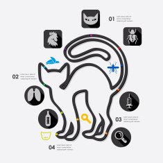 veterinary infographic N18