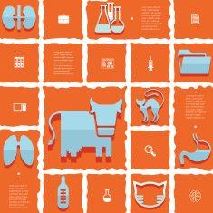 veterinary flat infographic N40