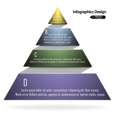 colorful infographics options banner N15