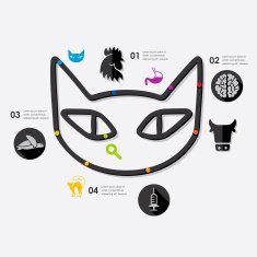 veterinary infographic N24
