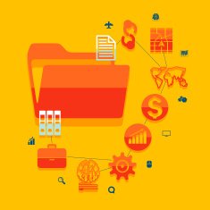 business flat infographic N80