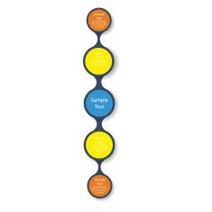 colorful round diagram infographics for presentations N11
