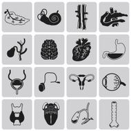 Vector Black icons of internal human organs Flat design set2