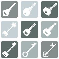 Vector Set of Keys Icons N15