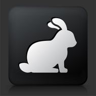 Black Square Button with Rabbit