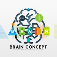 Brain minimal line style infographic banner design N3