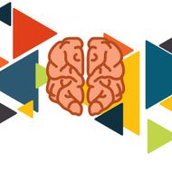 Brain In Flat Design