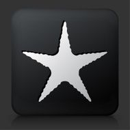 Black Square Button with Starfish Icon