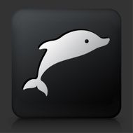 Black Square Button with Dolphins Icon