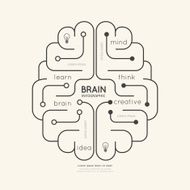 Flat linear Infographic Education Outline Brain Concept Vector