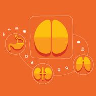 Medical flat infographic N55