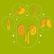 Medical flat infographic N57