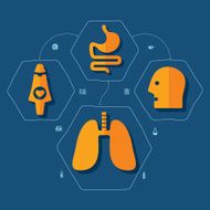 Medical flat infographic N66