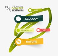 Eco leaf infographic concept