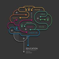 Flat linear Infographic Education Outline Brain Concept Vector N2